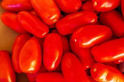 origin of the san marzano tomatoes