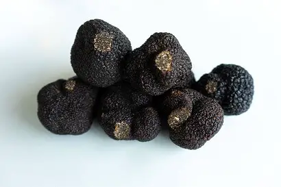 truffle grades